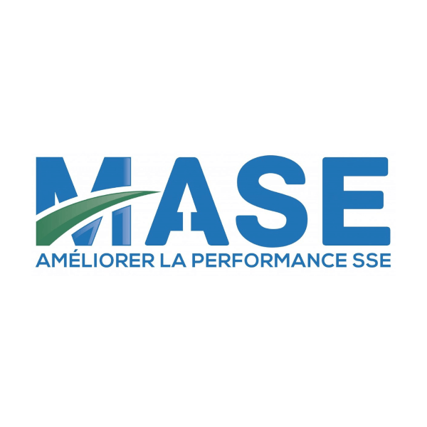 LOGO MASE CARRE 1